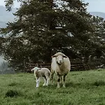 Alpstuga U Adasia Krosnica (Lesser Poland)