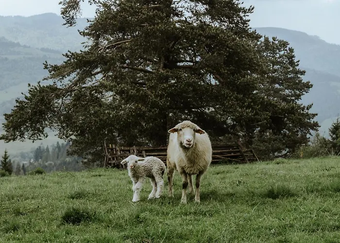 בקתה U Adasia Krosnica (Lesser Poland)